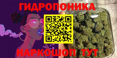 ешки Канаш