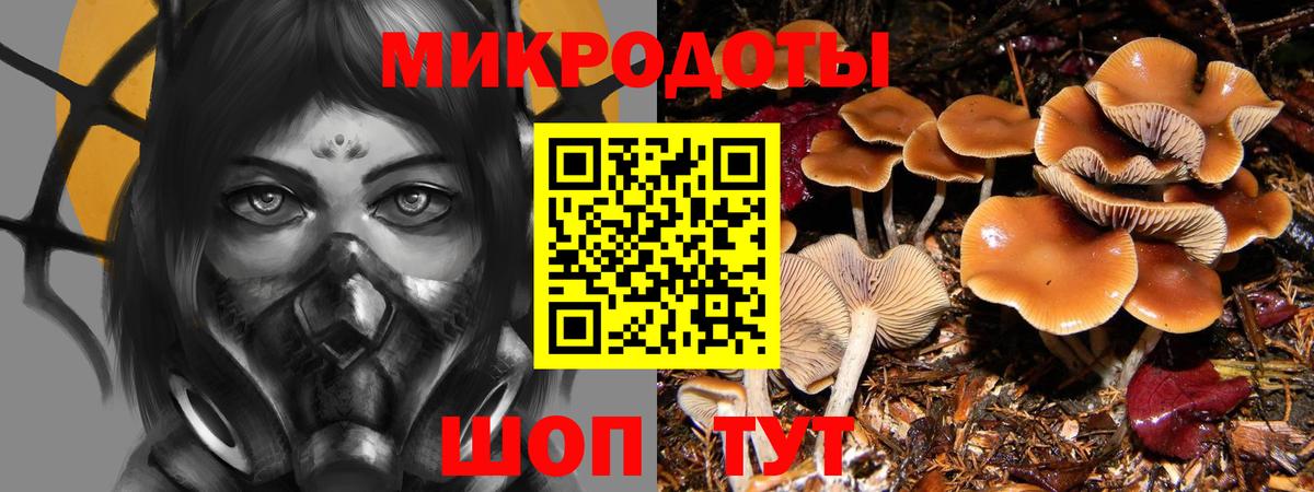 Псилоцибиновые грибы прущие грибы Кунгур